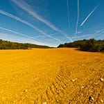 Golden wheat field on a sunny day in the French countryside